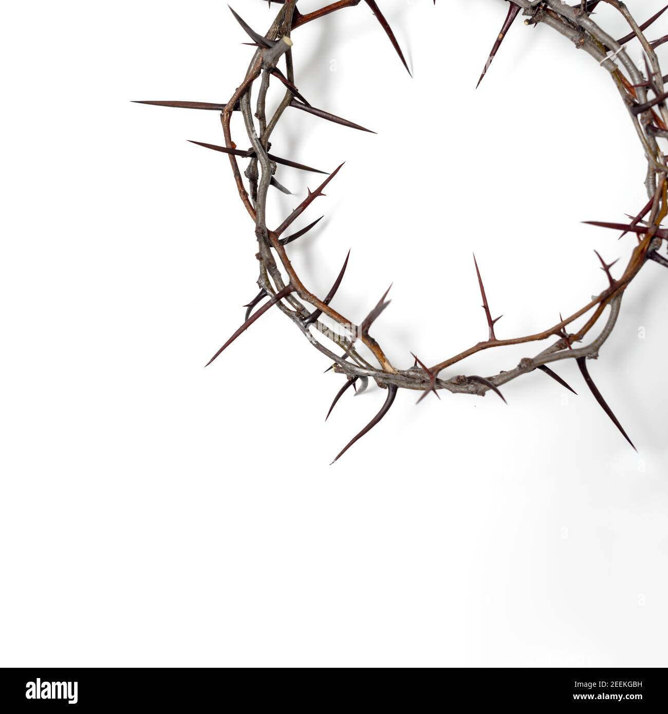 Corona di spine Gesù Cristo isolato su bianco. Spazio di copia Foto Stock