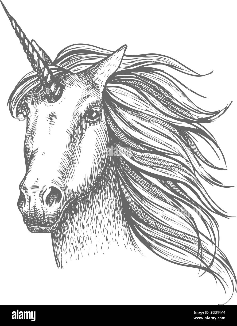 Unicorno mitico cavallo, testa equina araldica con corno e manna ondulata. Simbolo mitico del cavallo di fantasia per l'astrologia, storia da favola design. Mito bianco Illustrazione Vettoriale