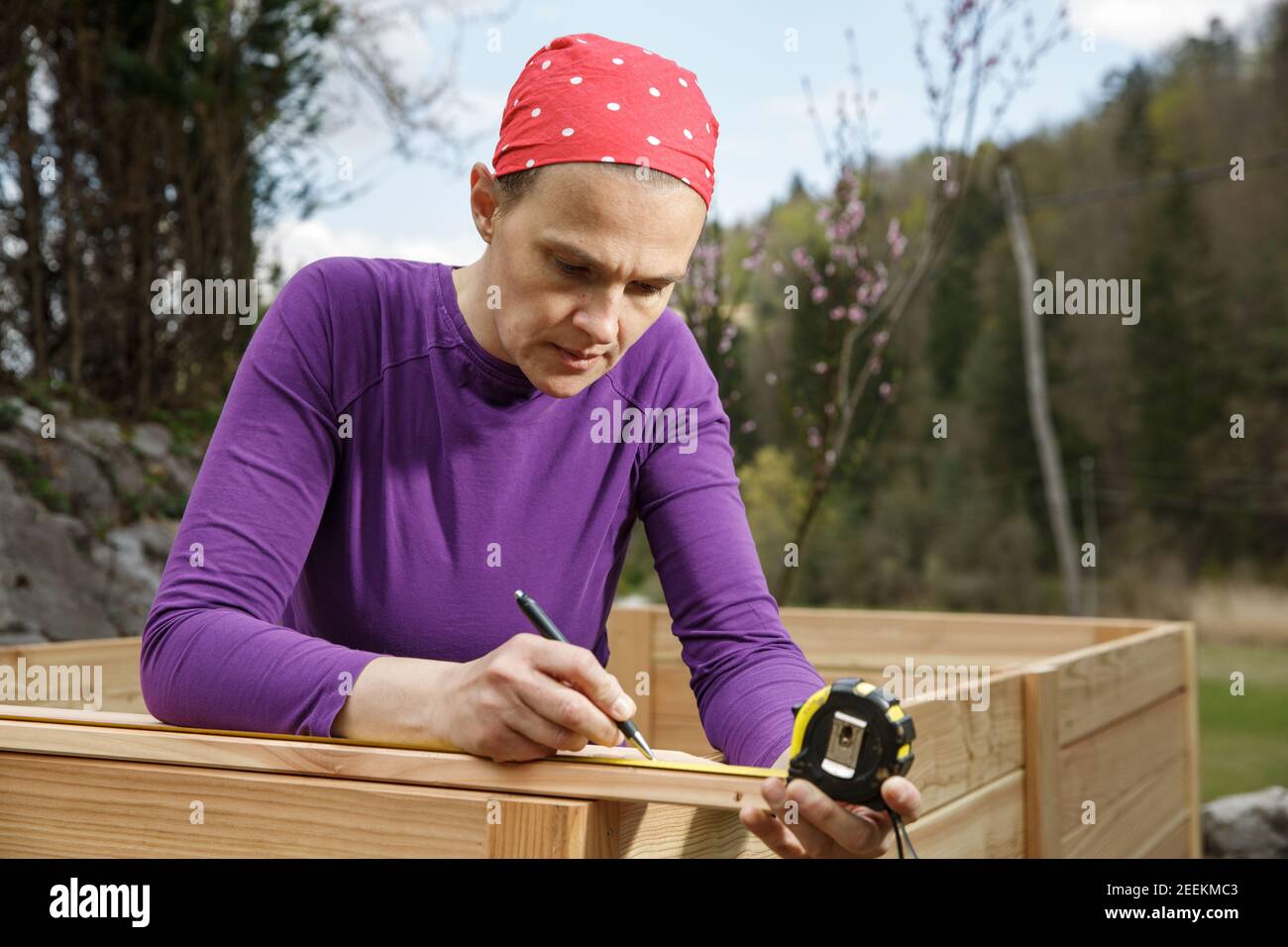 Falegname donna che misura la tavola di legno per un letto rialzato del giardino. Concetto DIY. Donna potente. Foto Stock