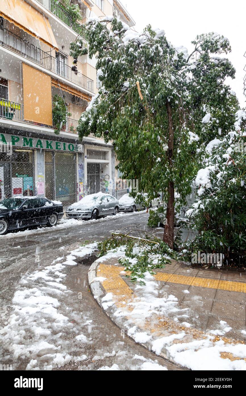 Strada scivolosa e albero rotto durante la tempesta di neve nella città di Atene, capitale della Grecia, Europa Foto Stock