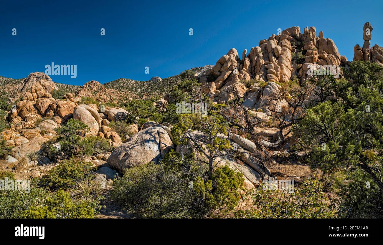 Formazioni rocciose di granito, roccia bilanciata sulla destra, nel Caruthers Canyon, New York Mountains, Mojave National Preserve, California, USA Foto Stock