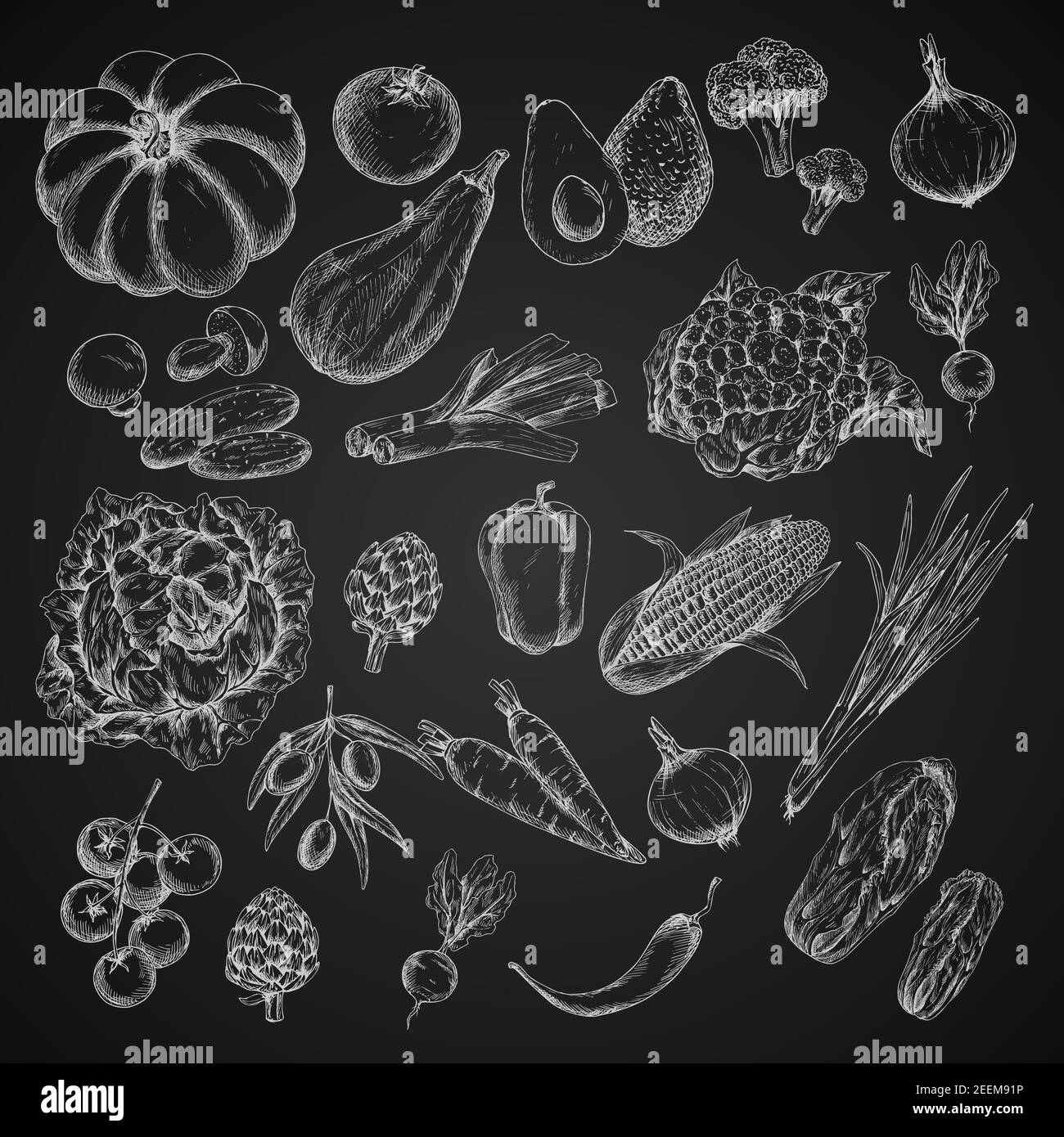Verdure gesso icone di schizzo. Raccolta vettoriale di zucca, cavolo o melanzane e zucca di zucchine, carote o rafano e pomodoro, cetriolo o p Illustrazione Vettoriale