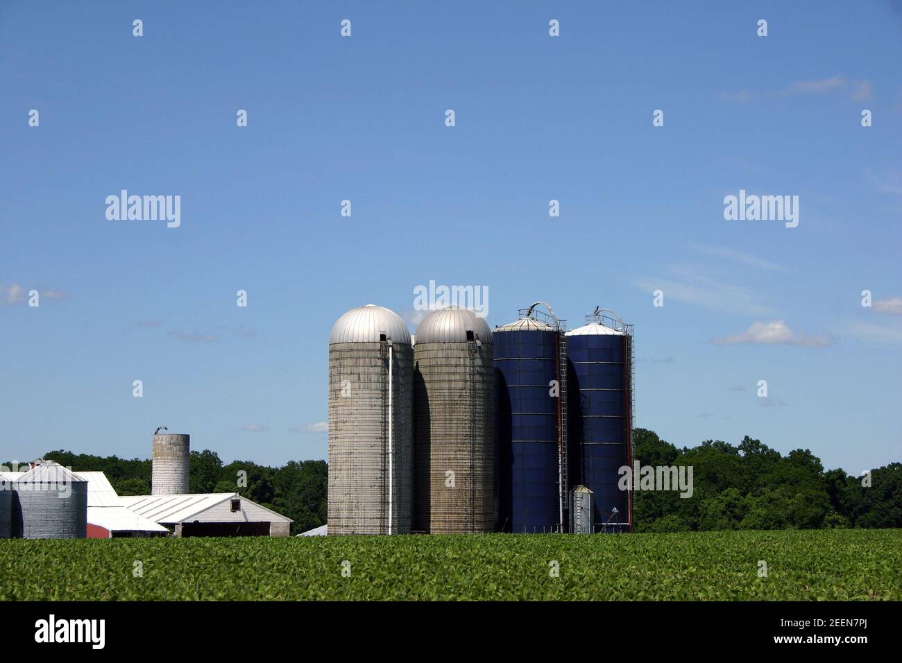 Azienda agricola tipica nel New Jersey, Stati Uniti, il Garden state Foto Stock