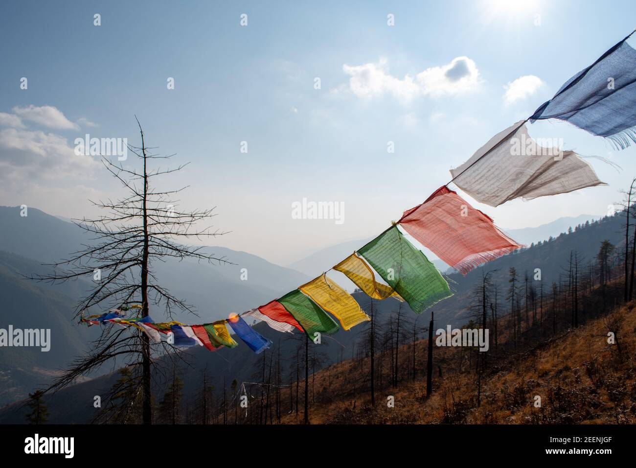 Bandiere di preghiera colorate e tremolanti in Bhutan Foto Stock