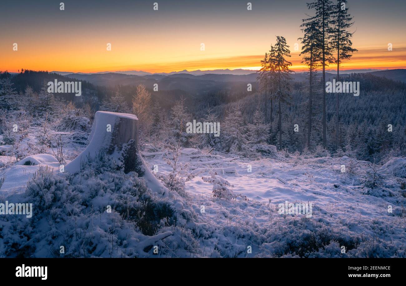 Soffice alba invernale in montagna. Un po' di foschia e bei colori all'orizzonte. La mattina presto nelle montagne di Beskid, parte della catena dei Carpazi Foto Stock