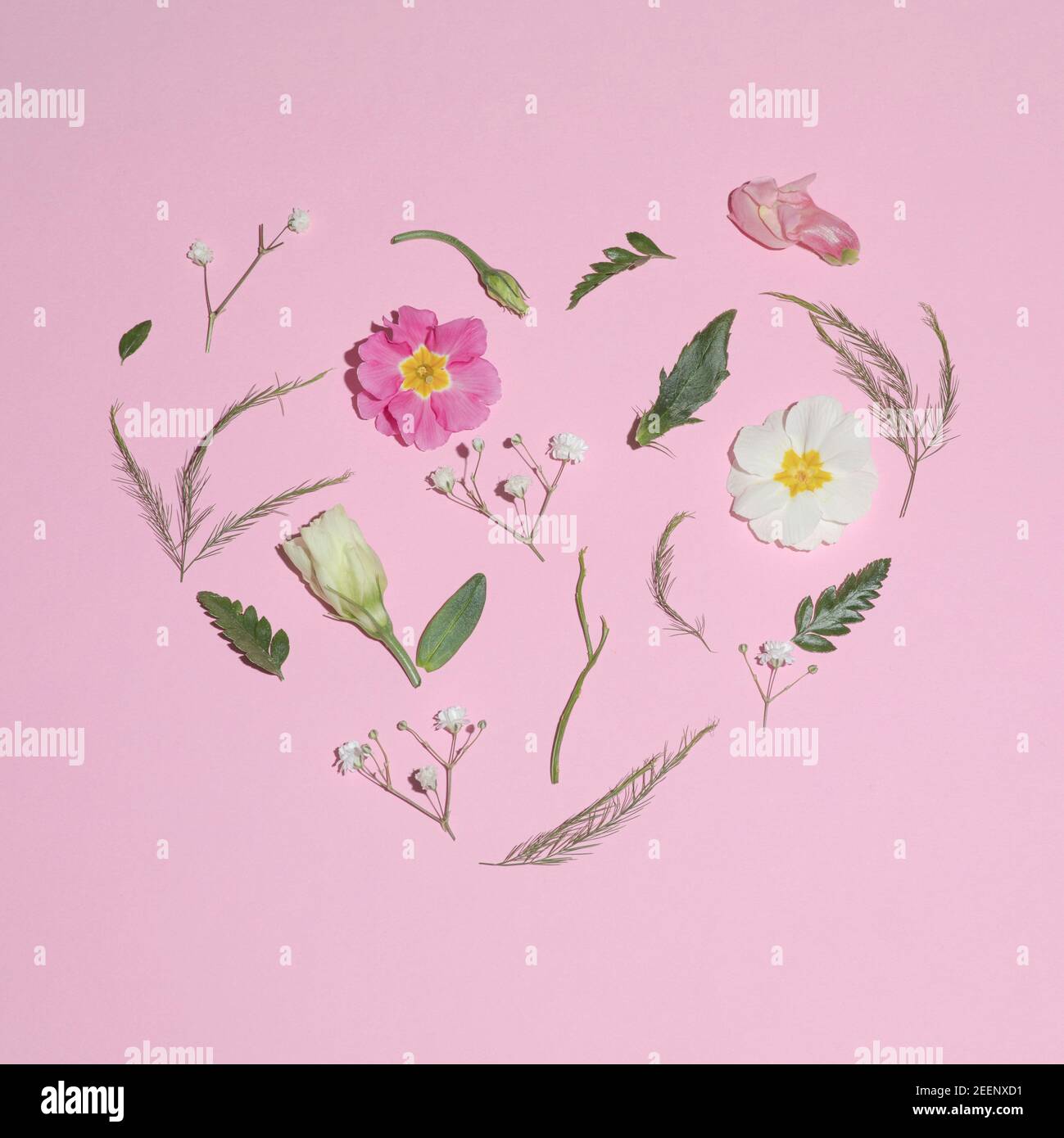 La primavera sta venendo a forma di cuore. Concetto di posa piatta su sfondo rosa Foto Stock