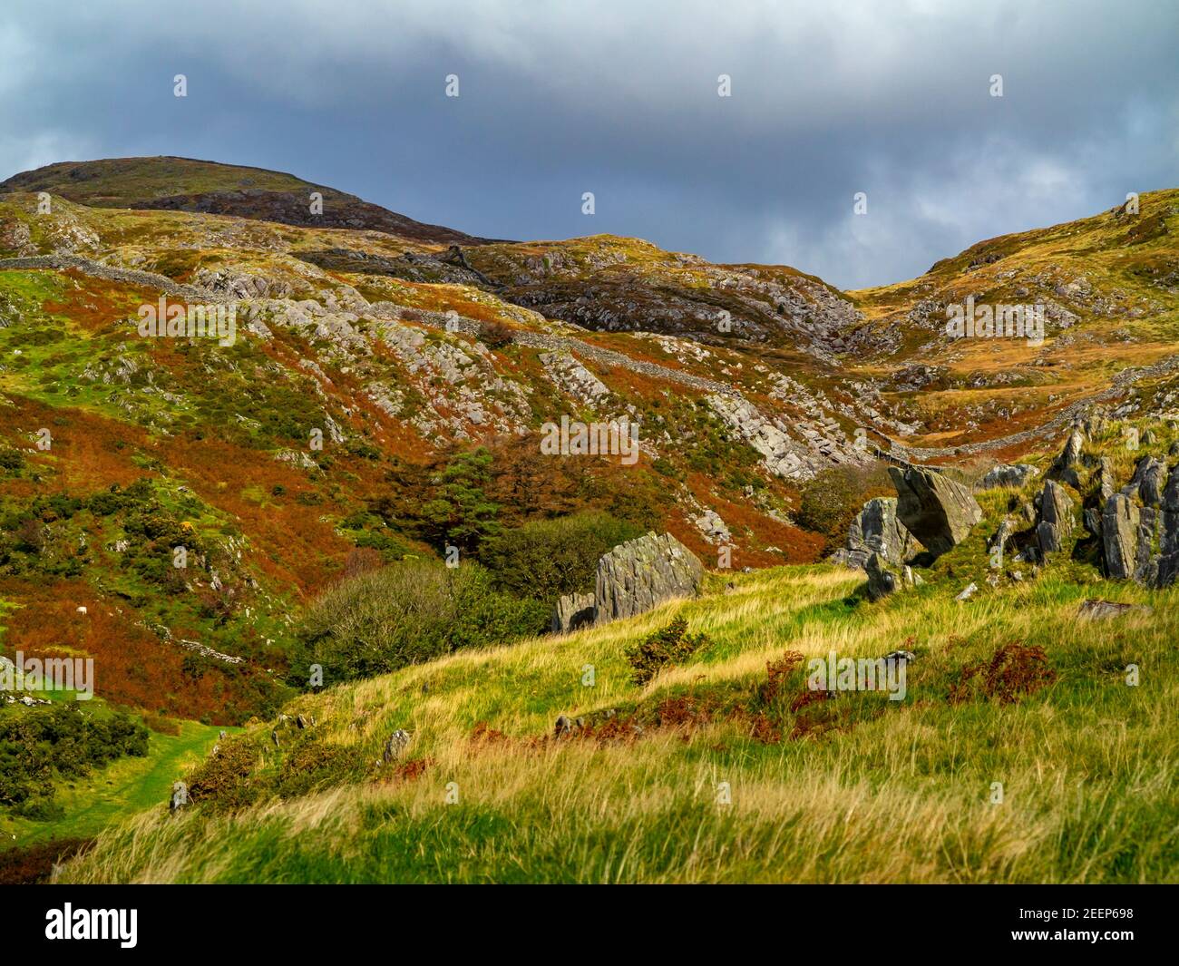 Paesaggio montano con formazioni rocciose a Gellfechan vicino a Barmouth in Gwynedd North West Wales UK vicino alla famosa passeggiata Panorama. Foto Stock