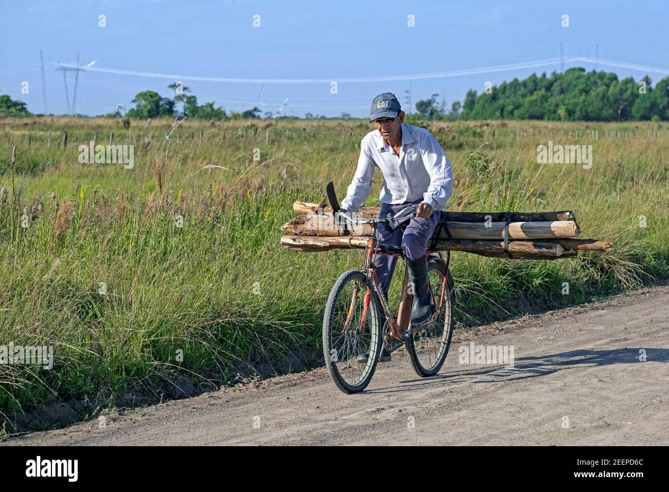 Anziano ciclista argentino che trasporta legna da ardere in bicicletta, Parco Nazionale Iberá, Provincia di Corrientes, Argentina Foto Stock