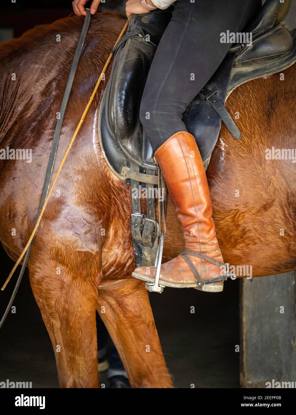 Scarpe equitazione di campagna discount