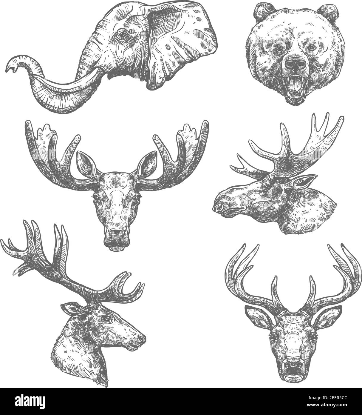 Set di schizzi isolati da animali africani e animali della foresta. Elefante, orso, cervo, grizzly, alci, renne, antilope, alce e capriolo vettore testa cervi Illustrazione Vettoriale