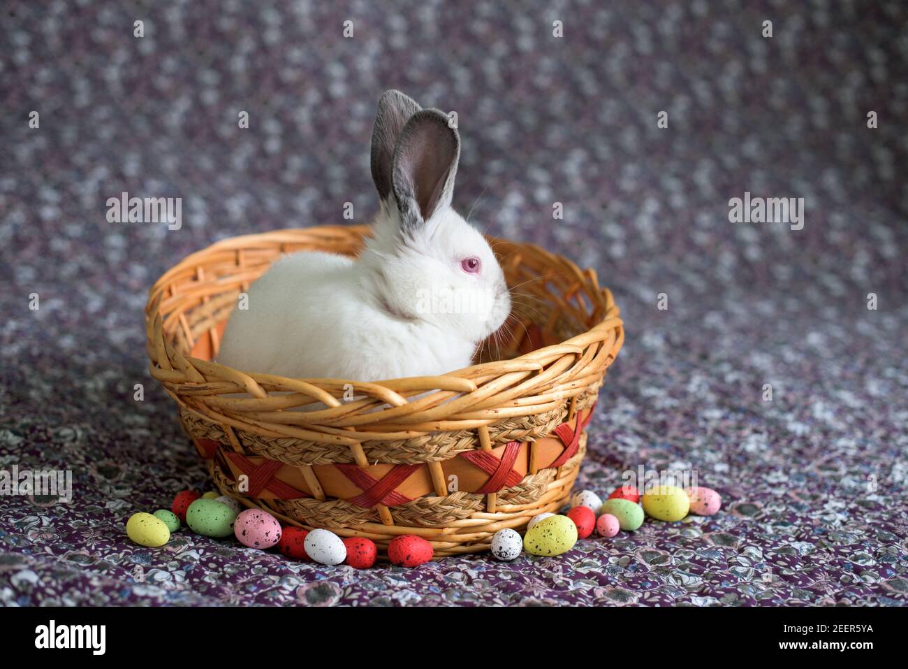 Coniglio bianco di Pasqua con occhi rossi in un cesto di legno con uova dipinte Foto Stock