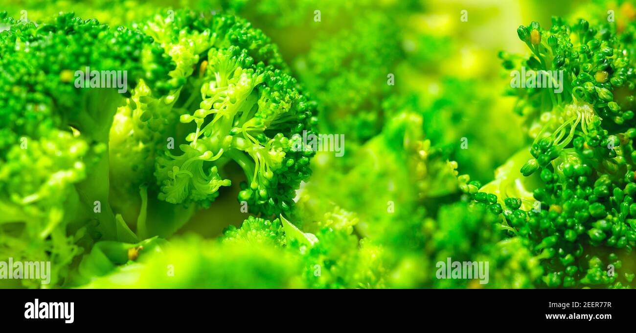 Broccoli freschi. Macro. Immagine panoramica Foto Stock