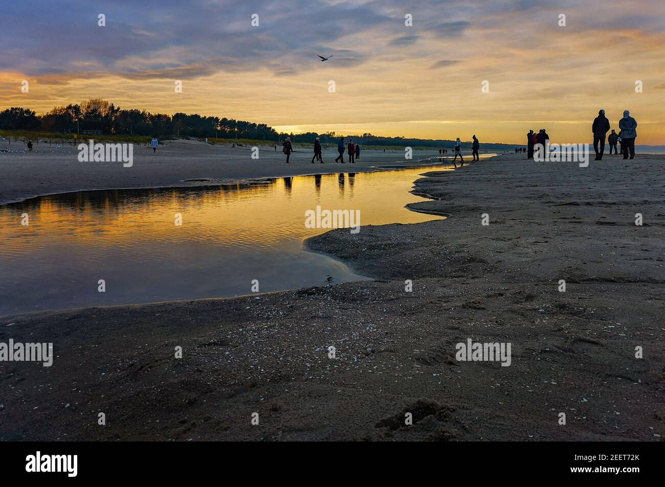 Le persone che camminano sulla spiaggia intorno a puddle vicino all'acqua sopra il Baltico Mare a Swinoujscie al tramonto a novembre Foto Stock