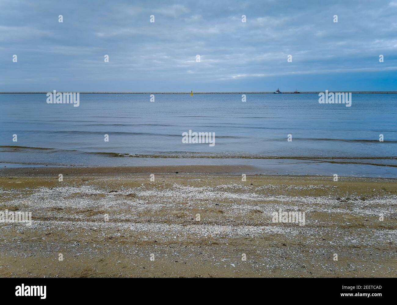 Spiaggia piena di conchiglie bianche vicino al Mar baltico a Swinoujscie nel mese di novembre Foto Stock