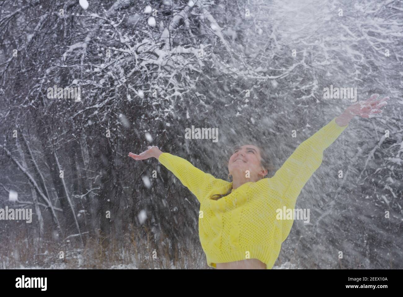 Gioiosa giovane donna getta una manciata di neve fresca in alto in aria il giorno d'inverno. Donna in giallino pullover in foresta gelata per camminare. Foto Stock Gioiosa giovane donna getta una manciata di neve fresca in alto in aria il giorno d'inverno. Donna in giallino pullover in foresta gelata per camminare. Foto Stock