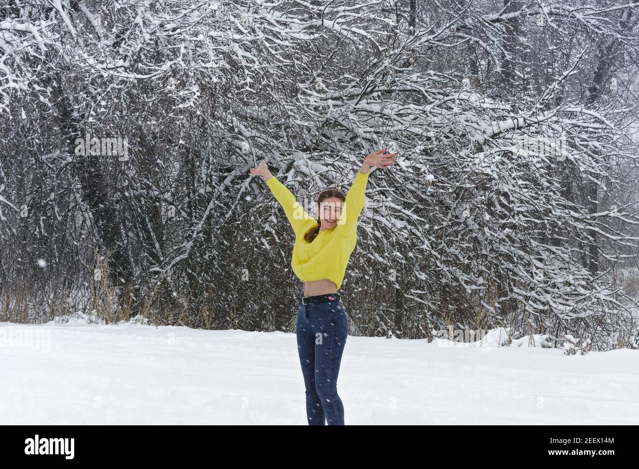 Giovane bella donna in giallastro gioisce la prima nevicata, alzando le mani in su. Signora nella foresta invernale per camminare, prima neve. Foto Stock Giovane bella donna in giallastro gioisce la prima nevicata, alzando le mani in su. Signora nella foresta invernale per camminare, prima neve. Foto Stock