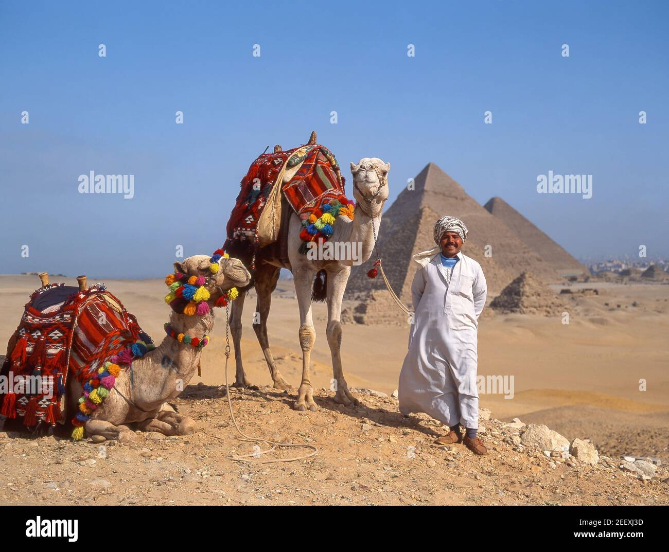 Camel driver decorate con cammelli, le Piramidi di Giza, Giza, Repubblica di Egitto Foto Stock