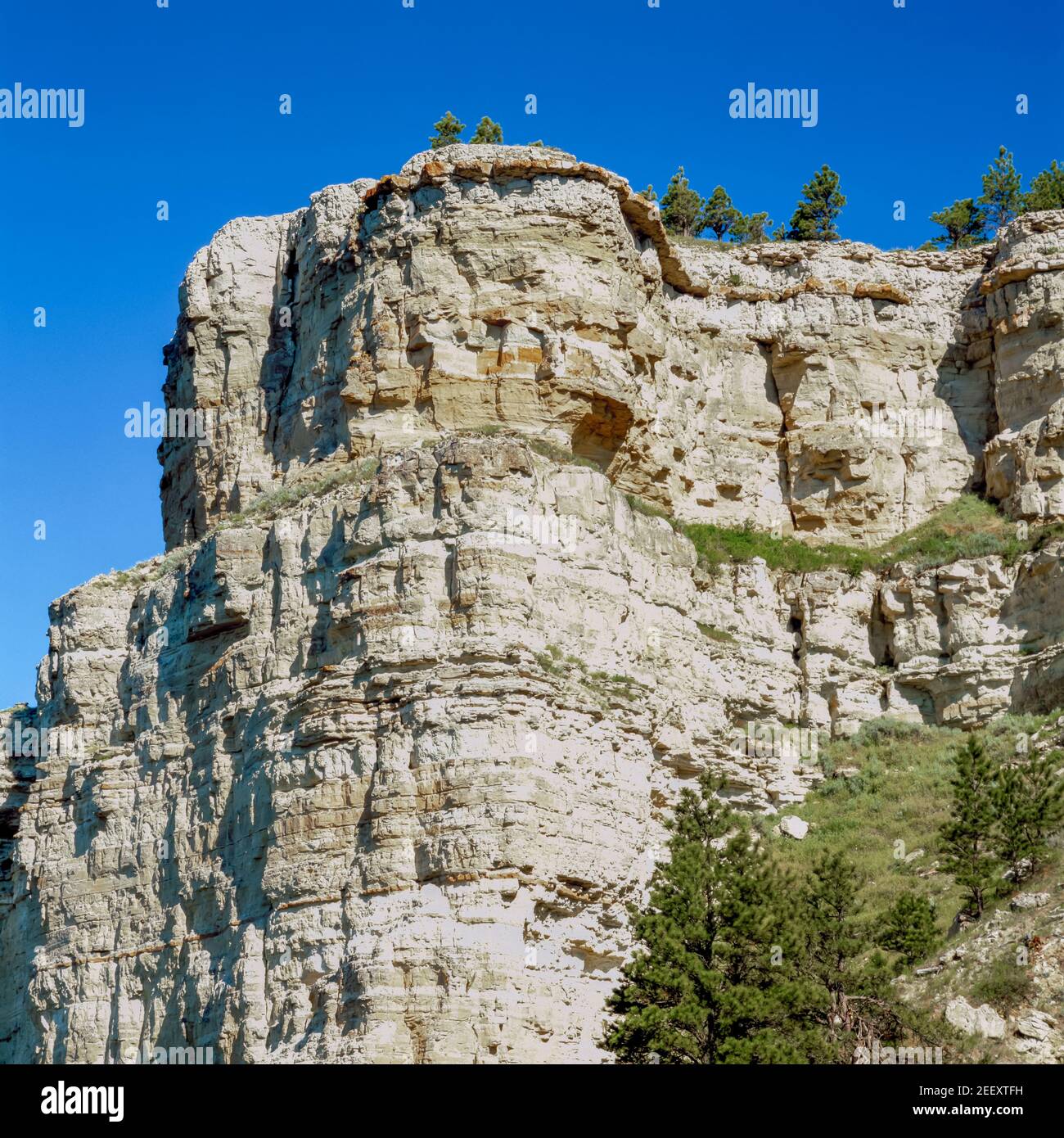 alte scogliere dei gesso buttes nella foresta nazionale di custer vicino a ekalaka, montana Foto Stock