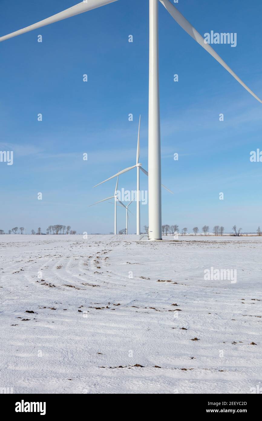 Turbine eoliche, rurale, regione agricola, Inverno, Indiana meridionale, USA, di James D Coppinger/Dembinsky Photo Assoc Foto Stock