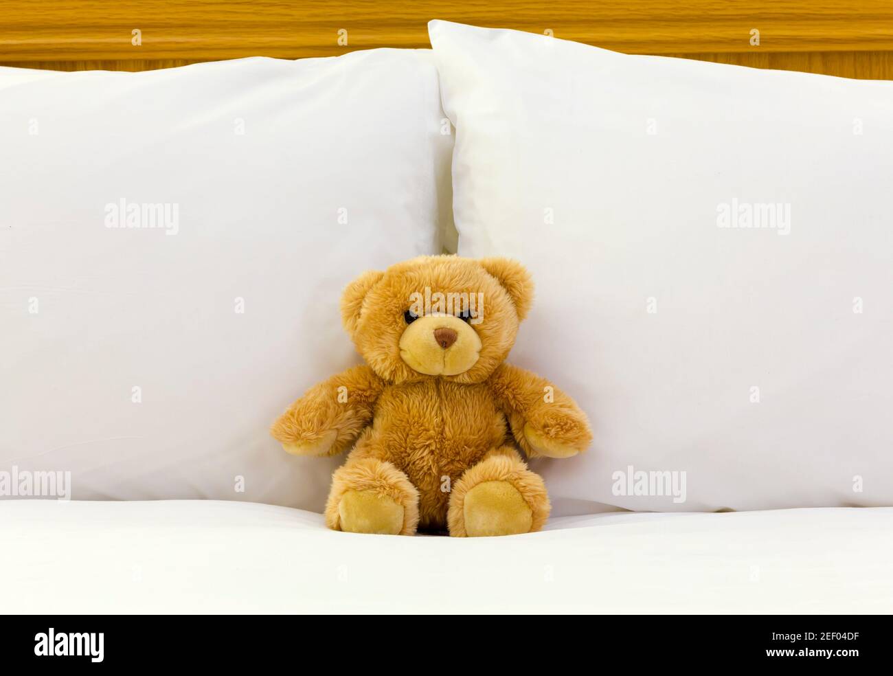 Orsacchiotto seduto su un letto con fresche lenzuola bianche. Hotel o casa camera da letto arredamento Regno Unito Foto Stock