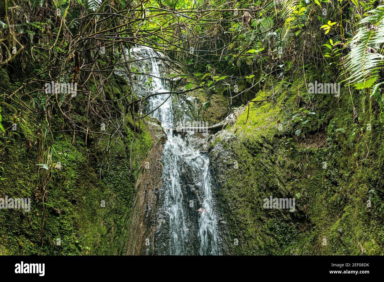 Una delle cascate di Los Cuchos presso il villaggio di Atahualpa vicino a Quito, Ecuador. Foto Stock