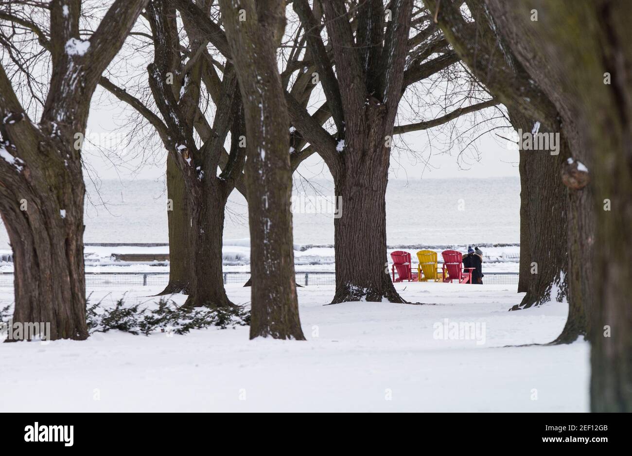 Toronto, Canada. 16 Feb 2021. La gente cammina in un parco innevato a Toronto, Ontario, Canada, il 16 febbraio 2021. Una tempesta invernale ha colpito la città di Toronto e le aree circostanti il martedì. Credit: Zou Zheng/Xinhua/Alamy Live News Foto Stock