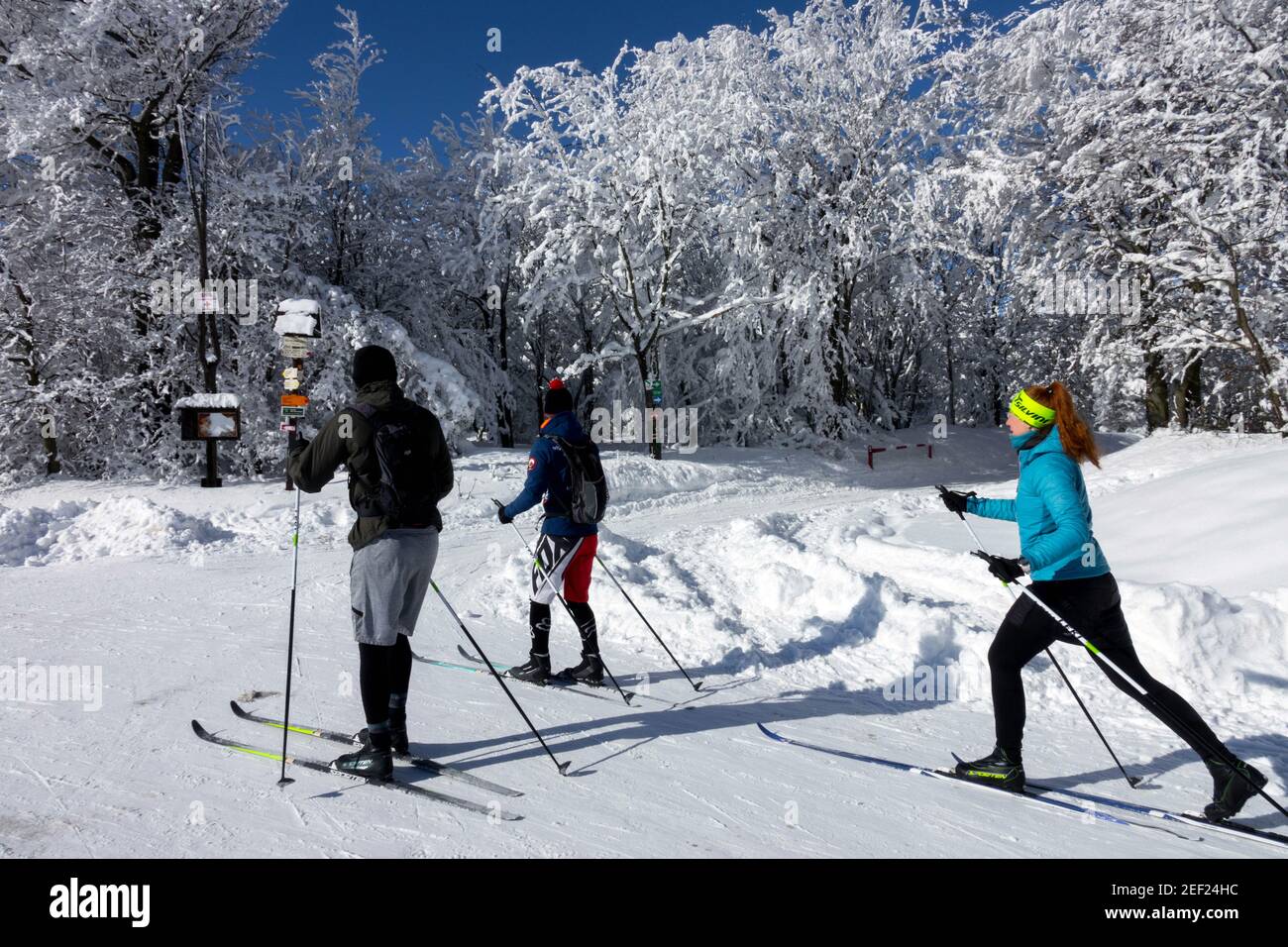 Donne che sciano nelle giornate di sole sciatori mantengono la forma fisica, sciare sulle piste da sci nella Repubblica Ceca sui monti Krusne Hory Erzgebirge ore Foto Stock