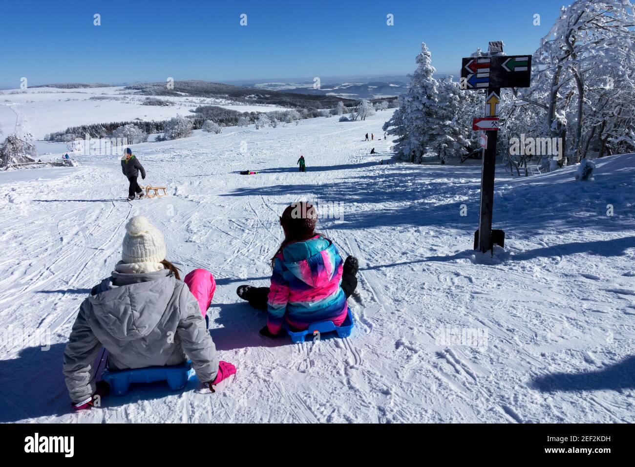 I bambini slittano in inverno sulla neve in discesa, bel tempo in inverno Foto Stock