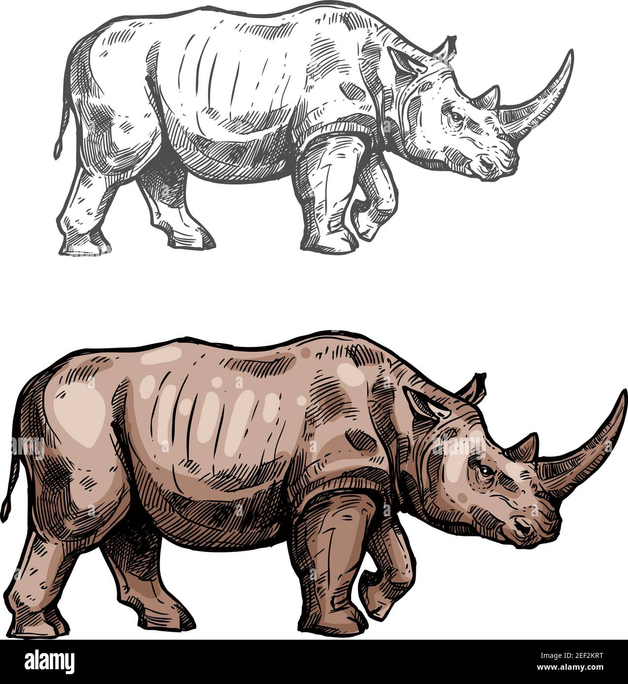 Rhinoceros animale selvaggio africano vettore icona schizzo. Savanna rhino simbolo per fauna selvatica e zoologia o caccia squadra trofeo simbolo e natura Illustrazione Vettoriale