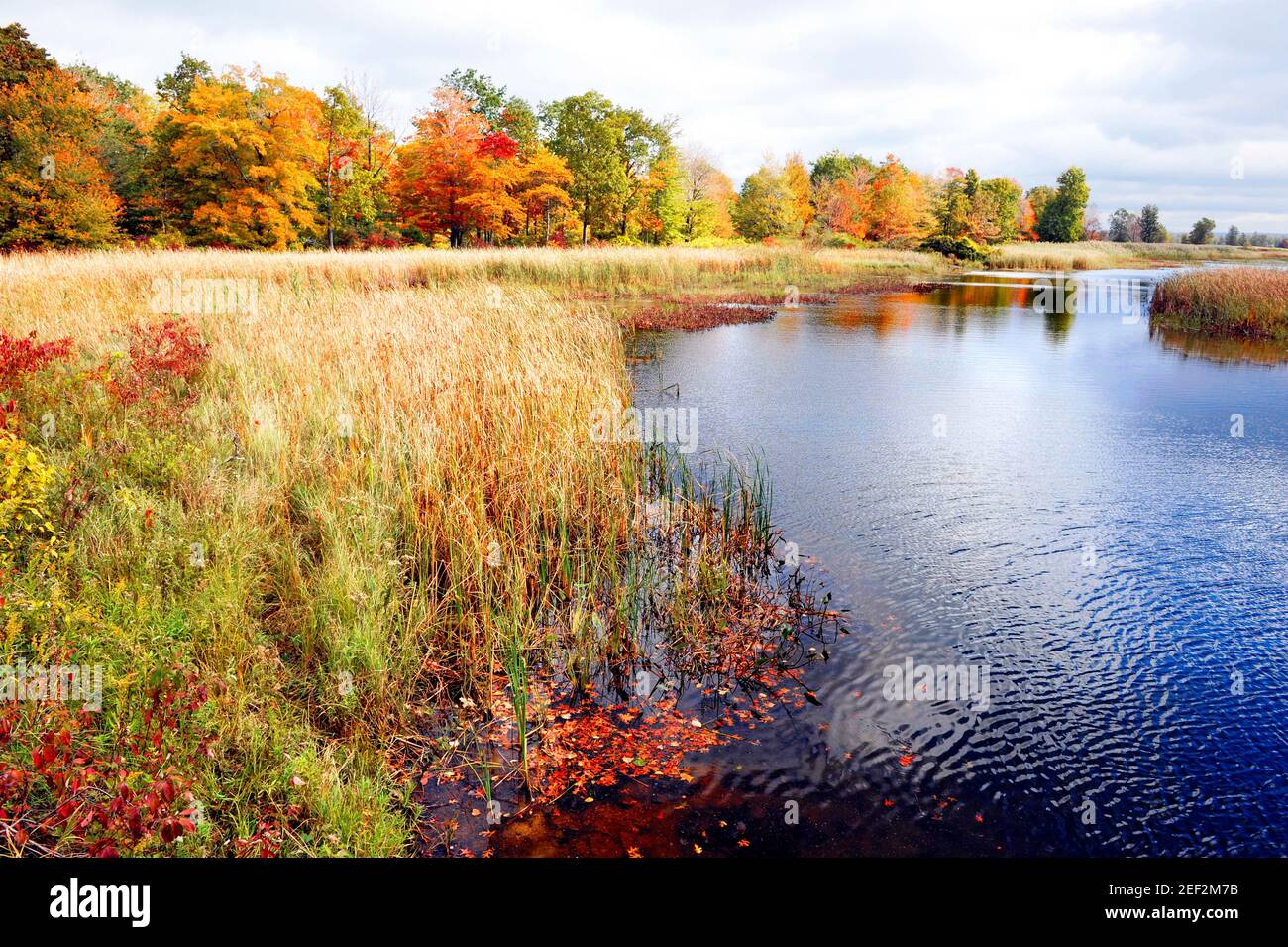 vista panoramica nel Presque Isle state Park, lungo Erie Pennsylvania Lago Erie Foto Stock