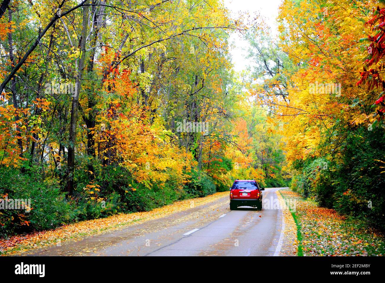 Guida panoramica vista in Presque Isle State Park Erie in Pennsylvania il Lago Erie Foto Stock