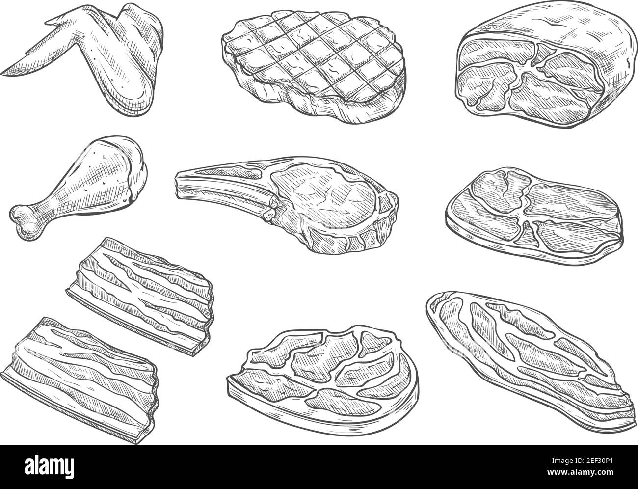 Icone di schizzi di carne e pollo. Simboli vettoriali isolati di zampa e ala di pollo fresche o grigliate, prosciutto di pancetta di maiale e filetto di manzo o filetto bri Illustrazione Vettoriale