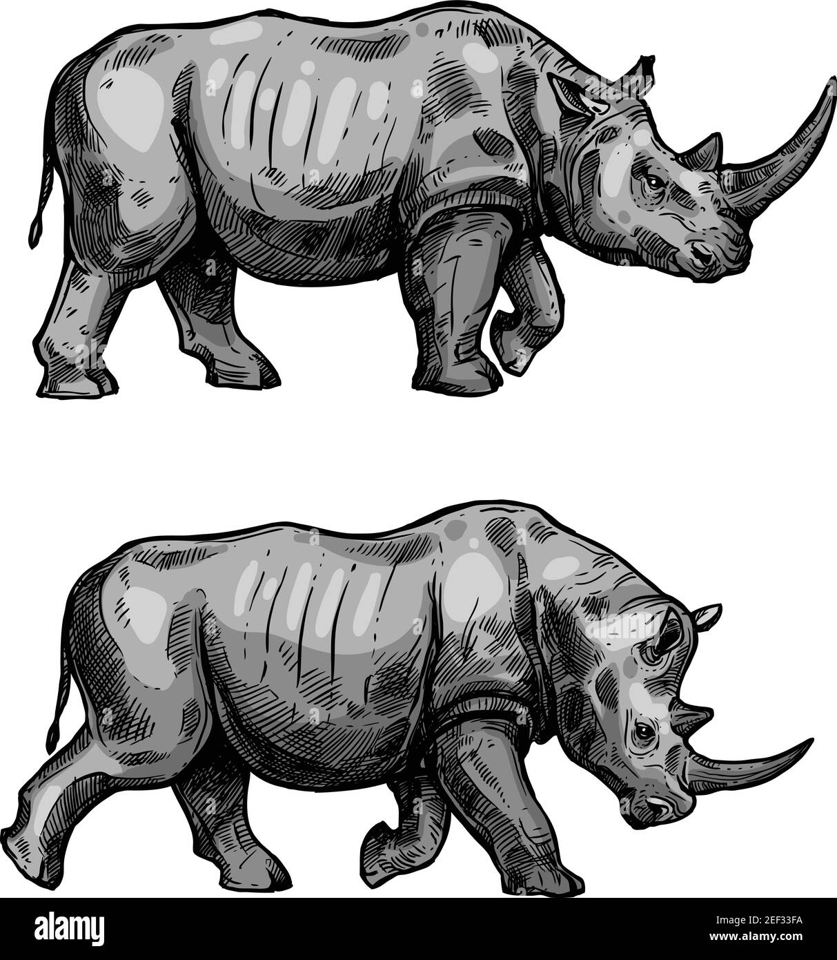 Disegno a piedi di Rhino dell'animale mammifero africano. Rinoceronte selvatico che attacca con testa piegata icona isolata per la caccia sport o safari africano tou di viaggio Illustrazione Vettoriale