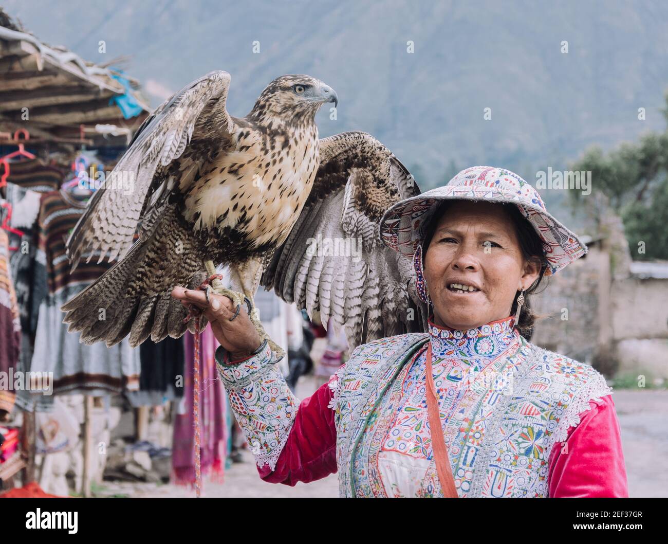 YANQUE, VALLE COLCA, PERÙ - 20 GENNAIO 2018: Donna peruviana nativa con abiti tradizionali tiene un'aquila nel villaggio tradizionale di Colca di Yanqu Foto Stock