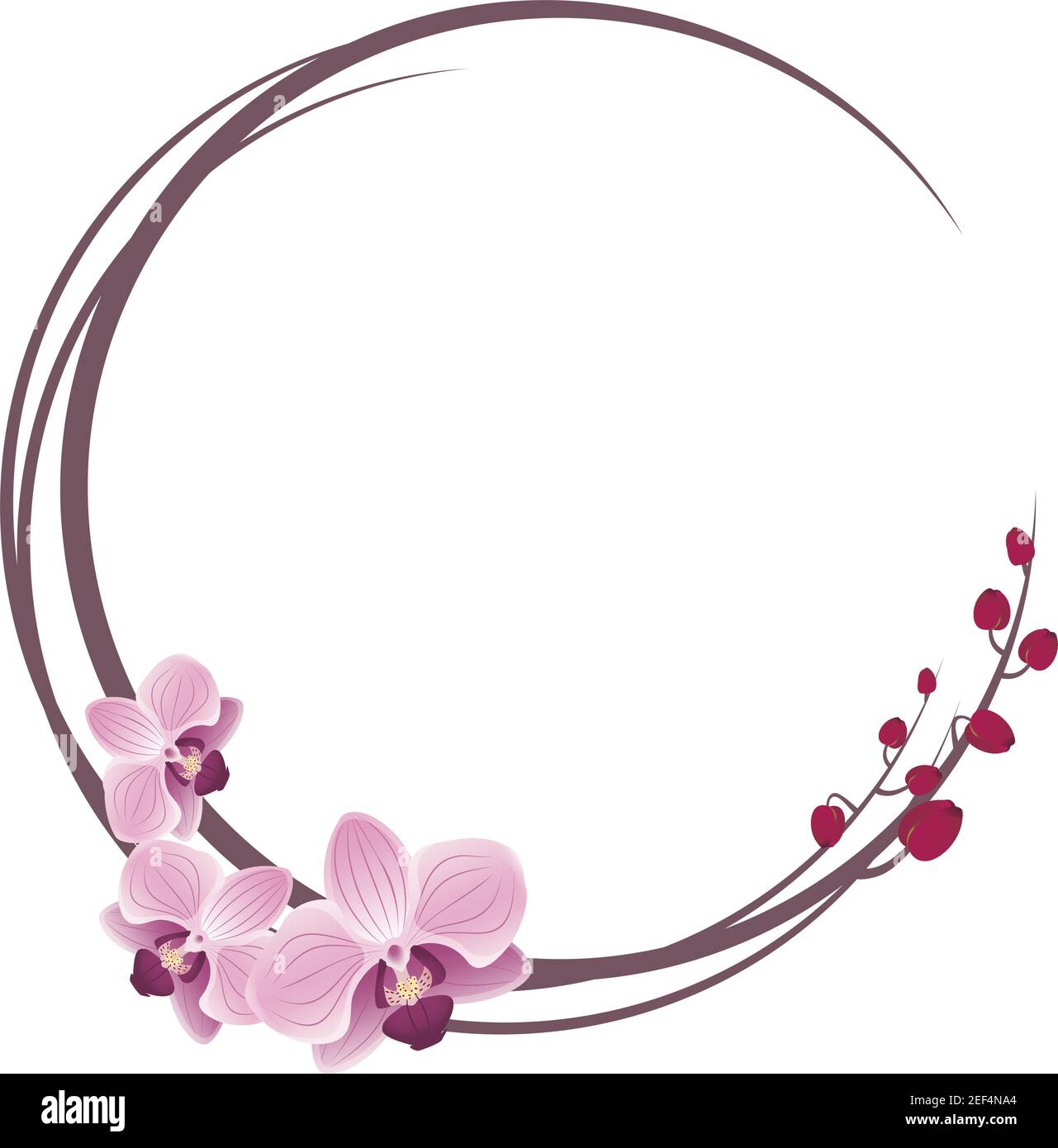 Orchidee delicate fioriscono la corona o la cornice rotonda con fiori rosa Illustrazione Vettoriale