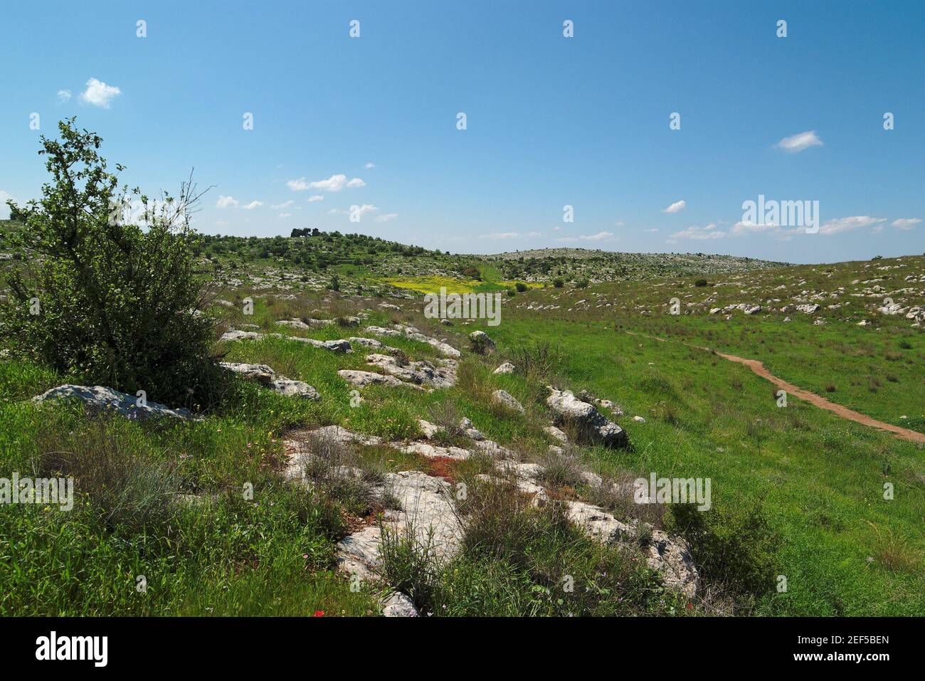 Verde valle mediterranea tra colline in primavera Foto Stock