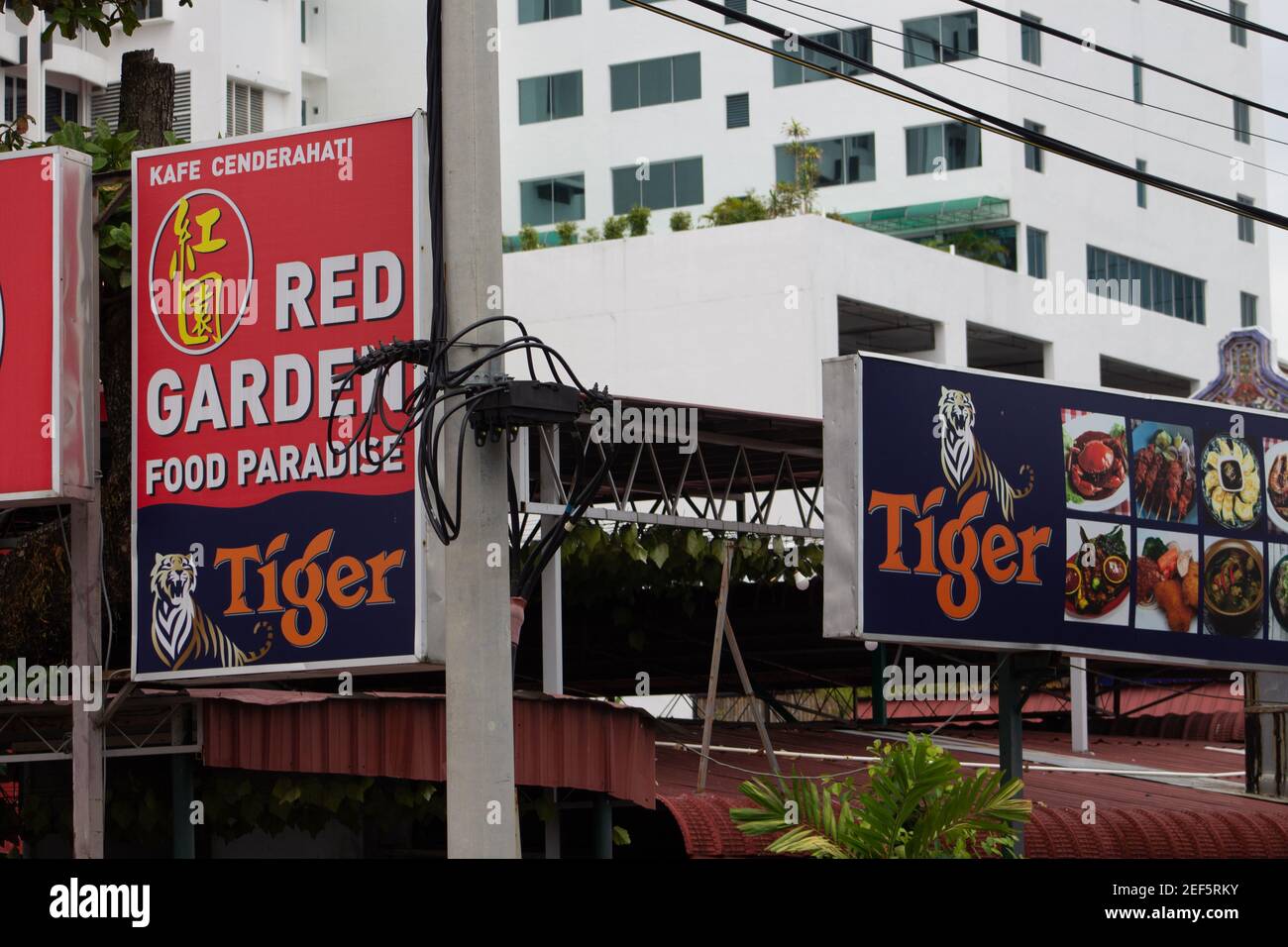 GEORGE TOWN, MALASIA – 31 GENNAIO 2020 tavole pubblicitarie Tiger con edifici di appartamenti sullo sfondo Foto Stock