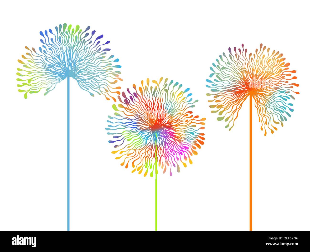 Splendidi colori di andelioni. Illustrazione vettoriale Illustrazione Vettoriale