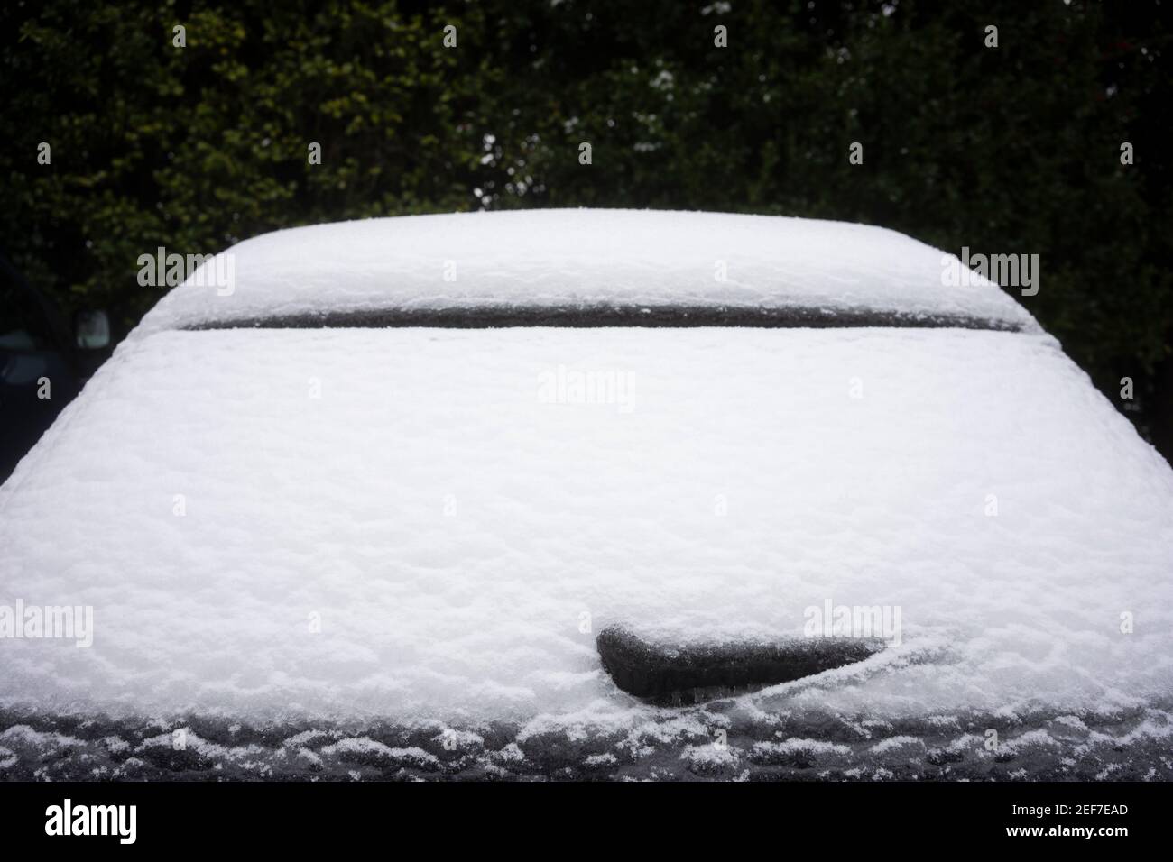Primo piano del tergicristallo congelato e del parabrezza posteriore di un'auto dopo una tempesta invernale con neve e pioggia ghiacciata. Foto Stock Primo piano del tergicristallo congelato e del parabrezza posteriore di un'auto dopo una tempesta invernale con neve e pioggia ghiacciata. Foto Stock