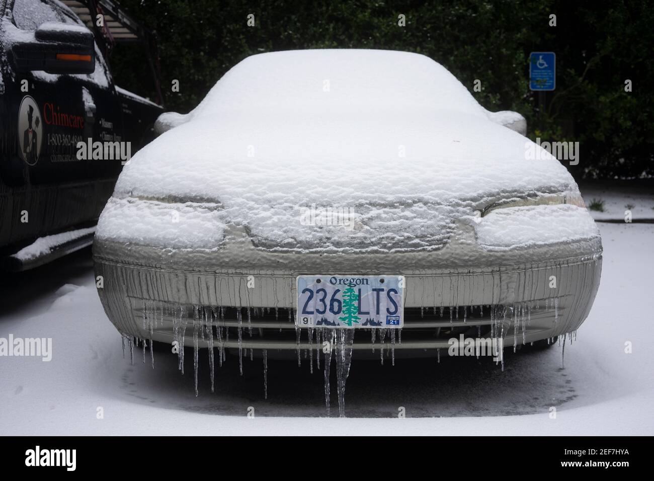 Auto congelata in un parcheggio nel lago Oswego, Oregon, il 13 febbraio 2021, dopo che neve e pioggia congelata colpiscono l'area metropolitana di Portland. Foto Stock