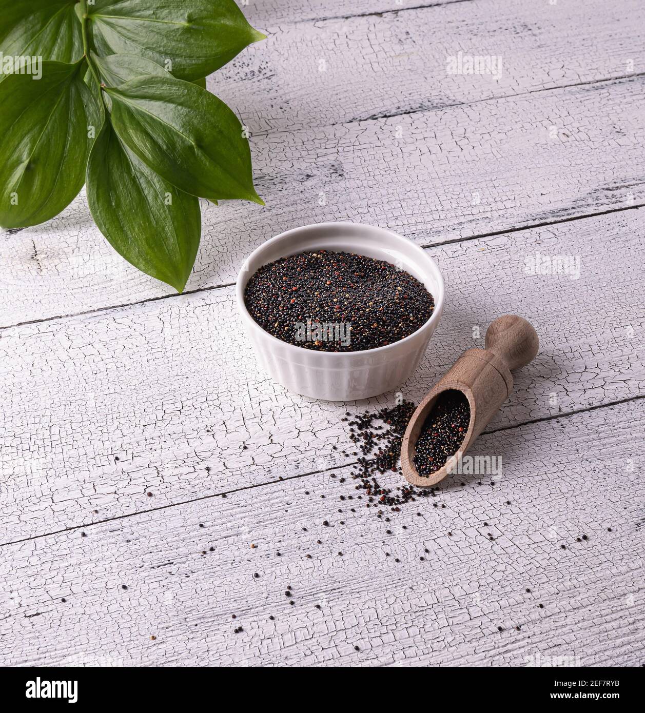 Semi neri di quinoa peruviana crudi in ciotola bianca piccola e paletta di legno con semi su tavola di legno bianco. Pochi semi sono sparsi intorno. Foglie verdi a. Foto Stock