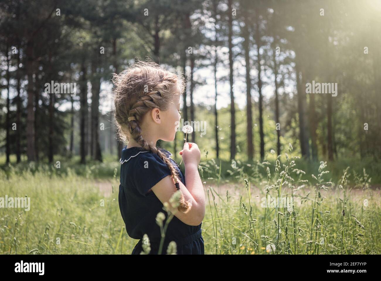 Bella giovane ragazza che esplora la natura con i capelli di coda di maiale intrecciati il giorno d'estate sole tenendo e soffiando semi di fiori di dente di leone in legno di alberi alti Foto Stock