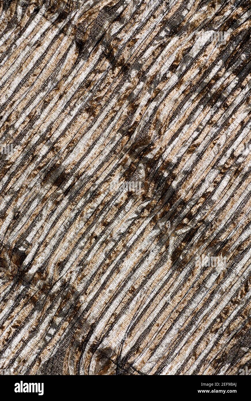 Close-up di un pattern su tessuto Foto Stock