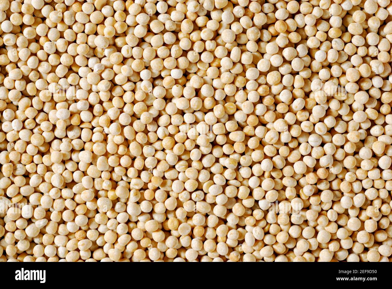 Primo piano di piselli secchi Foto Stock