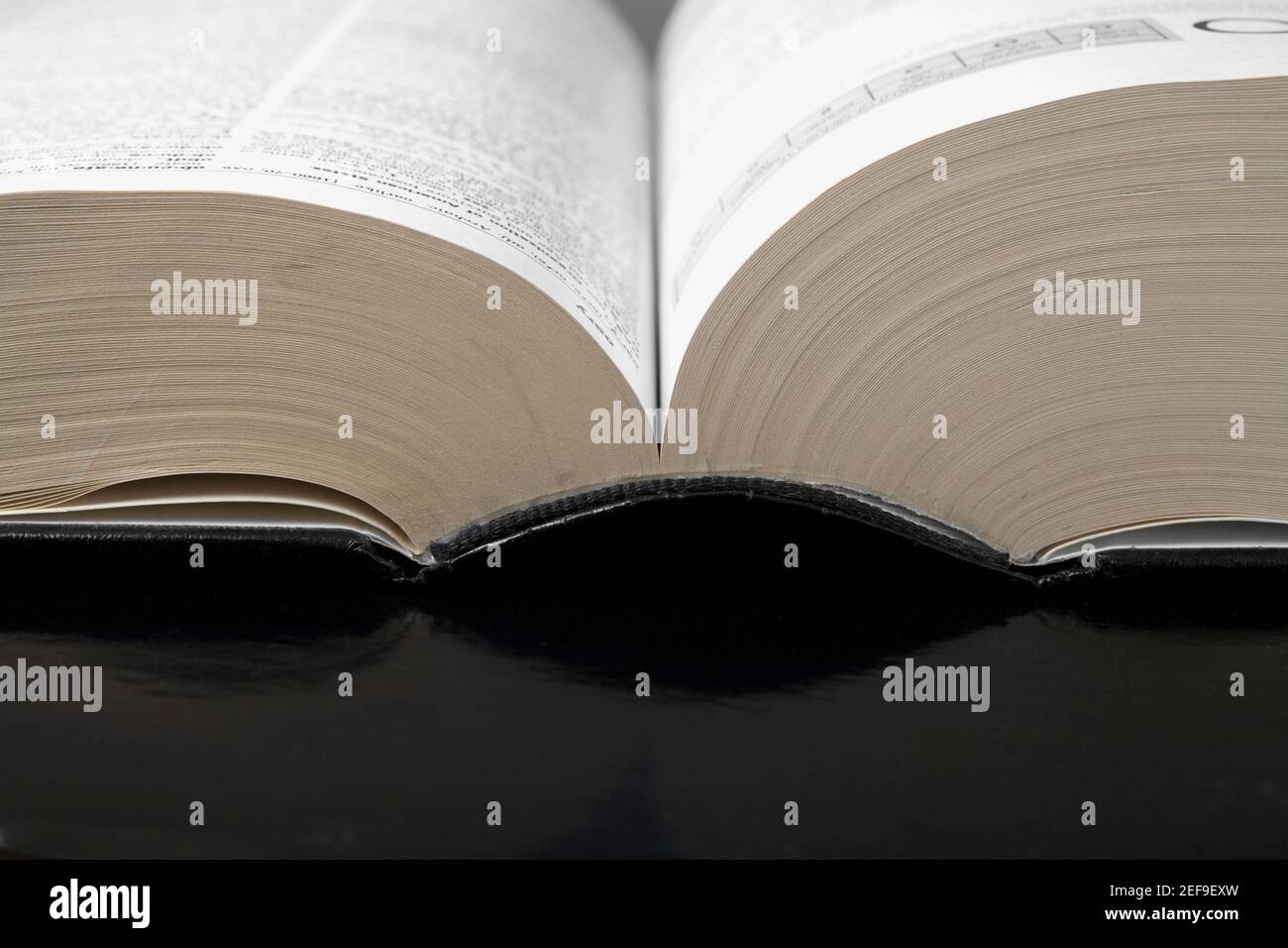 Close-up di un libro aperto Foto Stock