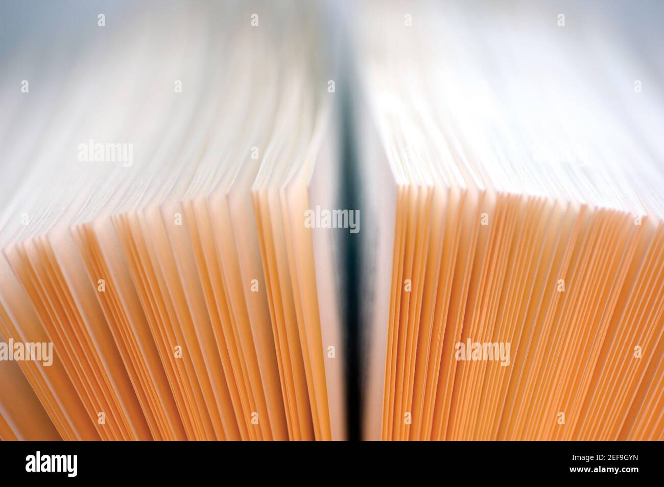 Close-up di un libro aperto Foto Stock