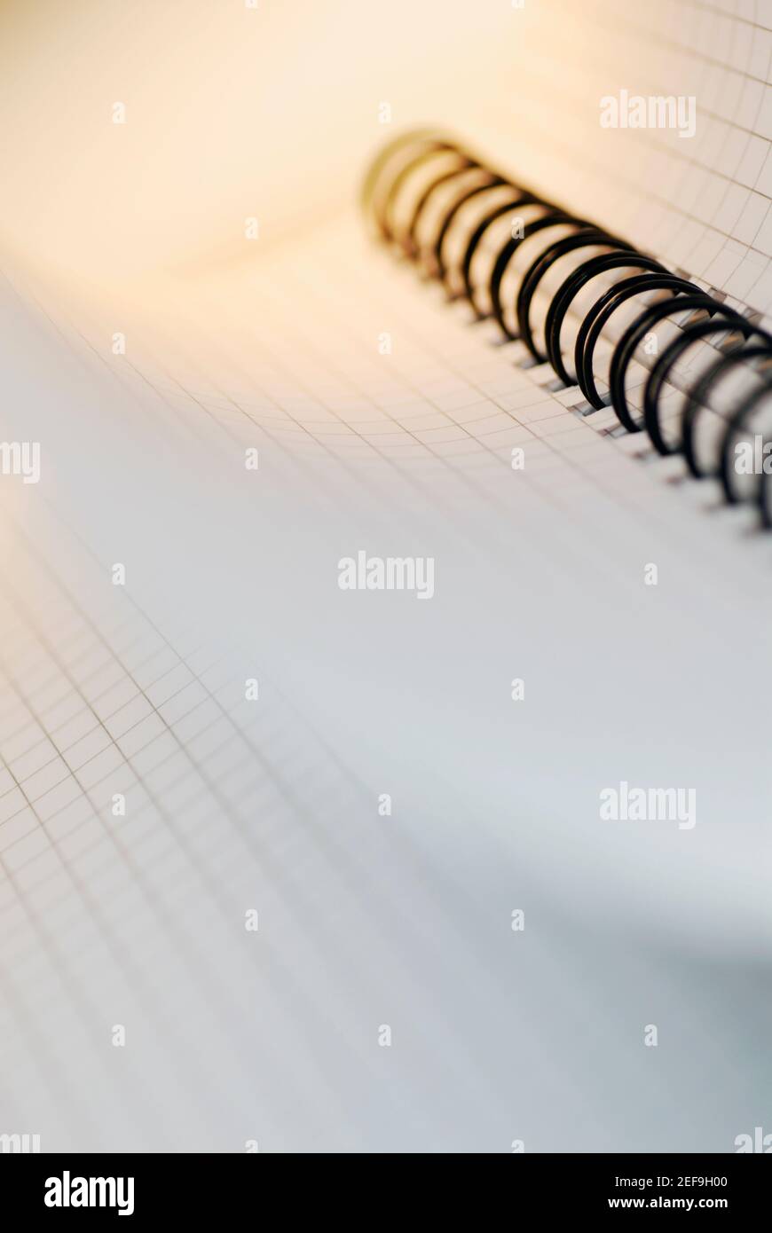 Close-up di un notebook a spirale Foto Stock