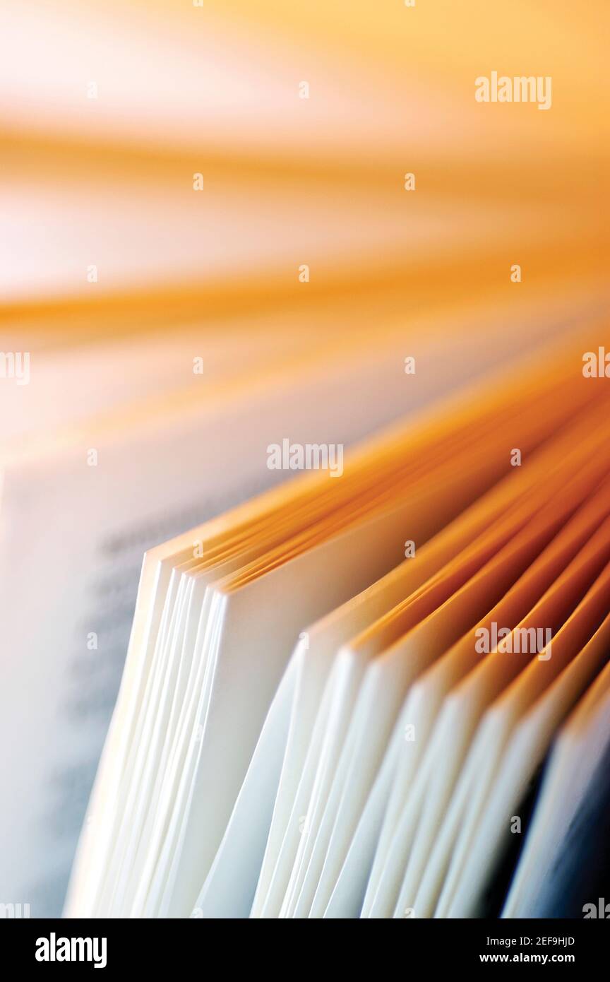 Close-up di un libro aperto Foto Stock