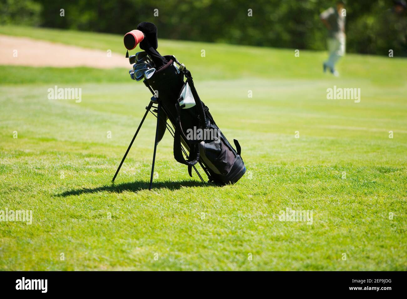 Borsa da golf su un campo da golf Foto Stock