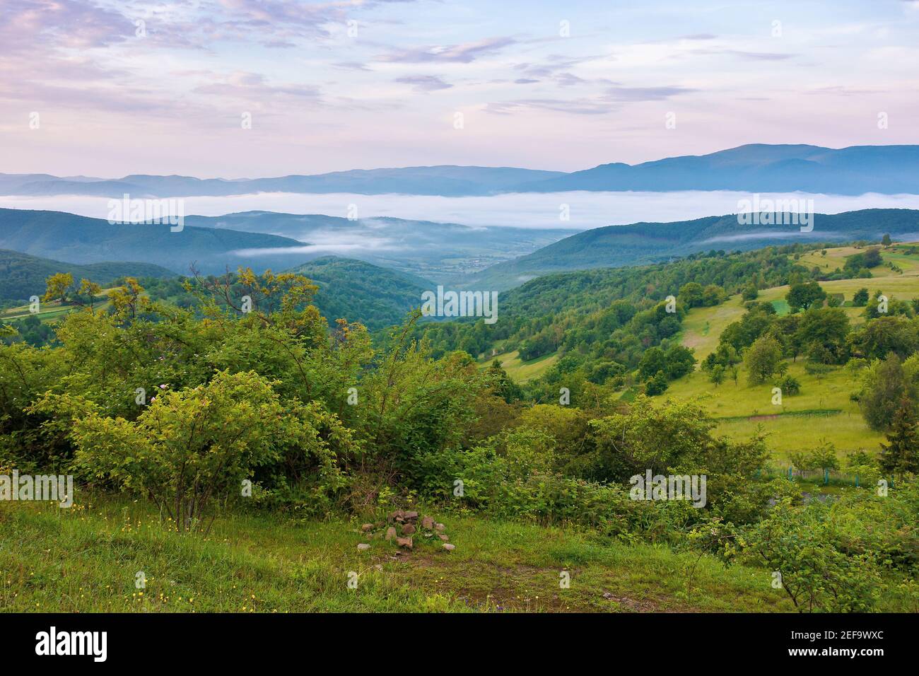paesaggio montano all'alba. valle lontana piena di nebbia in estate. piante e alberi sulla collina. bellissimo paesaggio con le nuvole sullo sk Foto Stock